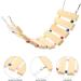 PATKAW Hamster Climbing Ladder Hamster Cage Bridge Ferret Cage Ladder Wood Chew Ladder Squirrel Climbing Ladder Guinea Pig Ramp Pet Toy Pet Cage Ladder Toy Widen Platform Climbing Wooden - Buy Online on GoSupps.com
