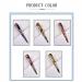 Livekiy 5 Pcs Large Alligator Hair Clips - 5.5 inch Non-Slip Duckbill Metal Clips for Women's Thick and Thin Hair - Buy Online on GoSupps.com