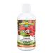 Dynamic Health Goji Juice Blend, with Maqui, Elderberry, Pomegranate, Raspberry & Blueberry, Vegetarian, Gluten-Free, BPA-Free, 32oz (Pack of 2)