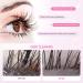 AuReve Rose Eyelash Extension Cleanser 600ml - Paraben & Sulfate Free | Lash Shampoo for Makeup Removal at Salon or Home - Buy Online on GoSupps.com