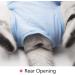 Ouuonno Cat Wound Recovery Suit - Abdominal Wounds & Skin Disease Pajama for Cats & Dogs (Blue L) - Comfortable Post-Op & E-Collar Alternative - Buy Online on GoSupps.com