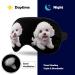 Cute Poodle Dog Eye Mask - Funny Soft Blindfold with Adjustable Strap for Sleep & Travel | Best Night Eyeshade - Buy Online on GoSupps.com