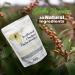 Authentic Chebe Powder from Chad Africa - Hair Growth Formula and Super Moisturizing Hair Mask - 100% Natural African Hair Powder (100g/3.5oz) - Buy Online on GoSupps.com