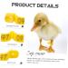 Yardwe 100pcs Poultry Marking Ring Farm Marker Tools Pigeons Ring Bands Ankle Pigeon Ring Lettering 3x1.8cm Yellow - Buy Online on GoSupps.com