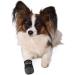 TRIXIE Water-Repellent Dog Shoes - Paw Protection for Small Breeds Black 2-Piece Set (Pack of 3) - Buy Online on GoSupps.com
