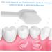 Shop Minkissy 12 Pcs Soft Toothbrush Set - Extra Soft Bristles & Natural Cleaning Brush - Perfect for Adults - International Shipping Available! - Buy Online on GoSupps.com