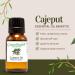 Cajeput Essential Oil 8 fl oz (237 ml) Aluminum Bottle w/Plug Cap 100% Pure Essential Oil GreenHealth - Buy Online on GoSupps.com