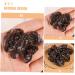 TOPBATHY 10pcs Simulation Vegetables Agarics Props Fake Agarics Vegetables Model Lifelike Veggies Vegetable Photography Props Small Agarics Decoration Wall Fake Black Fungus Food Pvc Dark Brown 5.00X4.20X1.00CM - Buy Online on GoSupps.com