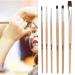 High-Quality 6-Piece Makeup Art Oil Color Brush Set | Halloween Face Makeup Brushes | Professional Cosmetic Brushes for Kids & Painters - Buy Online on GoSupps.com