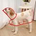 Buy Ssang Waterproof Dog Raincoat Poncho - Windproof & Adjustable Hooded Coat for Small to Medium Dogs & Cats (Red M) - Perfect for Rainy Days - Buy Online on GoSupps.com