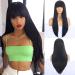 Beverlee 26 Inch Long Straight Wig With Bangs Heat Resistant Synthetic Wig for Women Natural Black Wig Party Everyday Use For Fashion Women A-Natural Black