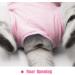 Cat Recovery Suit for Abdominal Wounds and Skin Diseases - Vet Recommended E-Collar Alternative - Medium Pink - Buy Online on GoSupps.com