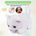 Interactive White Plush Animal Cat Stuffed Toy | Barking Meow Kitten | Touch Control Electronic Pet Cat Toy | Animated Robot Cat for Kids - L 12 x H 8 x W 5 - Buy Online on GoSupps.com