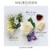 Mauboussin - Le Secret d'Arielle 50ml (1.7 Fl Oz) - Eau de Parfum for Women - Floral Scent 1.7 Fl Oz (Pack of 1) - Buy Online on GoSupps.com