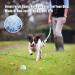Feixun Dog Glow Ball Toy Dog Toy Ball Glow in the Dark 2 Pack Small - Buy Online on GoSupps.com