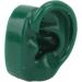 Simulated Ear Model - Soft Silicone Acupuncture Ear Model (Green) for Clinics | High Toughness & Durability - Buy Online on GoSupps.com