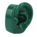 Human Ear Model - Water Resistant & Durable Soft Ear for Acupuncture Clinics (Green) - Buy Online on GoSupps.com