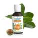 Puressentiel Organic Macadamia Vegetable Oil Benefits Hair and Skin - 100% Pure & Natural Vegan - 1 fl oz Macadamia 1 Ounce - Buy Online on GoSupps.com