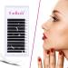 Easy Fan D Curl 0.05 18mm Single Russian Eyelashes - Natural Look Self Fanning Lashes - Automatic Blooming Extensions - 0.05-D-18 - Buy Online on GoSupps.com