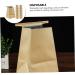 15pcs Travel Kraft Paper Car Trash Bags - Light Brown Vomit Bag Disposable - Buy Online on GoSupps.com