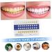Buy Healifty 20-Piece Tooth Color Scale Set | PVC Bleached Color Chart for Accurate Tooth Shade Matching - Buy Online on GoSupps.com