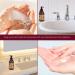 Di Palomo Vegan Wild Fig & Grape Handcare Essentials Collection. 240ml Hand Soap & Hand & Body Loton. Luxury Hand Wash & Hand Cream. Pamper Gifts for Women. Vegan Hand & Body Moisturiser. Vegan Gifts. - Buy Online on GoSupps.com