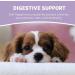 Pets Purest Life Drops for Puppies 10ml - Natural Puppy Gut Health & Energy Booster for Organ Development & Digestive Support - Buy Online on GoSupps.com