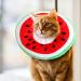 Luckious Adjustable Kitten Cone Collar - Adorable Watermelon Cat Recovery Collar - Soft Cat Cones for Small Cats & Kittens Elizabethan Collars for Kitten Puppy After Surgery (1-3 Pounds) - Buy Online on GoSupps.com