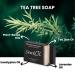 Tea Tree Soap Bar - Rejuvenates & Moisturizes Dry Skin | Soothes Burns & Insect Bites | Exfoliating Natural Disinfectant | 120g - Buy Online on GoSupps.com
