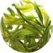 GOARTEA Th Vert - 50g (1.76 Oz) Premium Anji Bai Cha Long Jing White Dragon Well Loose Spring Leaf Chinese GREEN TEA VERT - Buy Online on GoSupps.com