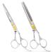 Equinox Professional Razor Edge Series Hair Cutting Scissors Set - Barber Hair Cutting & Thinning Shears/Texturizing Scissors Set - 6.5 Inches Hair Cutting Scissors Kit for Men/Women/Kids/Salon & Home Silver