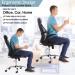 Bangled Lumbar Support - Double Breathable Mesh Car and Office Chair Back Support (Black 2 Pack) - Buy Online on GoSupps.com