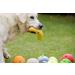 Petface Large Banana Soft Chew Dog Toy - Fun and Durable Latex Toy for Dogs - Buy Online on GoSupps.com