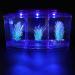 Aquarium Fish Tank Transparent Aquarium Fish Tank LED Acrylic Three Divisions Breeding Isolation Box for Small Fishes Mini Breeding Fish Tank (Purple) - Buy Online on GoSupps.com