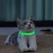 2Pcs Glow in The Dark Cat Collars with Bell | Adjustable (20-30cm) | Metal Buckle | For All Cats & Small Dogs | Floral - Buy Online on GoSupps.com