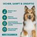 Healthy Dog Co 6-in-1 Natural Dog Shampoo & Conditioner - Odor Control Gentle & Moisturizing for Long Hair - 500ml Puppy Shampoo - Buy Online on GoSupps.com