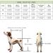 Dog Wheelchair Back Legs Rehabilitation Adjustable Easy Assemble Pet Wheelchair for Disabled Hind Legs Puppy Cat/Dog/Puppy Walking Dog Carriers X-Small - Buy Online on GoSupps.com