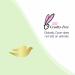 Dove 0% Aluminum Deodorant Stick - Coconut & Pink Jasmine 2.6 oz - Buy Online on GoSupps.com