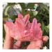 Stone Crafts Natural Crystal Quartz Cluster Colourful Specimen Electroplating Coated Reiki Stone Home Decoration Craft Reiki Crystals