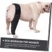 Sosoport Dog Leg Braces for Foreleg Canine Rear Hock Knee for Dogs Knee Pads Puppy Kit M As Shown - Buy Online on GoSupps.com