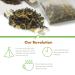 Revolution Tea Pear White Tea 16 Bags Full Leaf Mesh Infuser - 16 Count Pack - Buy Online on GoSupps.com