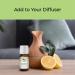 Good Essential Coconut Fragrance Oil 10ml - 0.33 Fl Oz (Pack of 1) - Buy Online on GoSupps.com