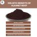 Alkanet Root Powder 10oz - 100% Natural Colourant for Soap Making | Gorgeous Color Shades | Ratanjot Root Powder by Yogis Gift  - Buy Online on GoSupps.com