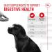 Royal Canin Puppy Supplement for Immunity & Digestion Soft Chews 100g - Buy Online on GoSupps.com