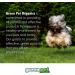 Hemp Oil for Dogs and Cats - 1000ml (1fl/Oz) | All-Natural Supplement - Buy Online on GoSupps.com