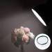 E-outstanding 4PCS Soft Diffuser Lamp Cover Diffuser Light Sock Cloth Diffuser Lampshade Reflector Lamp Sock - Buy Online on GoSupps.com