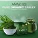 IAM Amazing Pure Organic Barley Powder Drink Barley Green Natural Blend - Buy Online on GoSupps.com