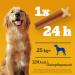 Pedigree Dentastix Daily Oral Care for Large Dogs (25kg+) 56 Pieces - Chicken & Beef Dog Treats for Healthy Teeth - Buy Online on GoSupps.com