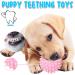 Speedy Panther 6Pcs Dog Chew Toys for Small Dogs Puppy Teething Toys From 8 Weeks Dog Ball Toys Dog Toys Set for Small Medium Dogs Pink - Buy Online on GoSupps.com