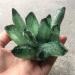Specimen Green Ghost Phantom Quartz Crystal Cluster Rock Stones Crystals ReikiSpecimen Home Decor GiftStone Full of Texture (Size : 500-600g) - Buy Online on GoSupps.com